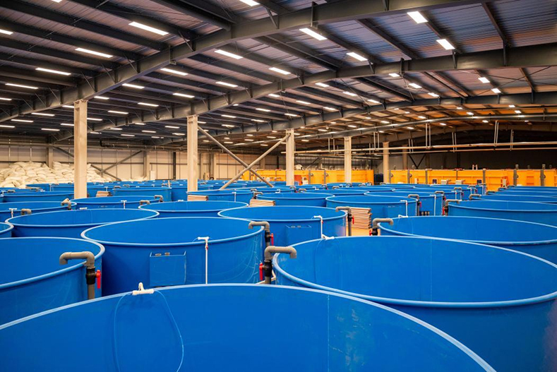 5101762585966225.jpg sgs.jpg